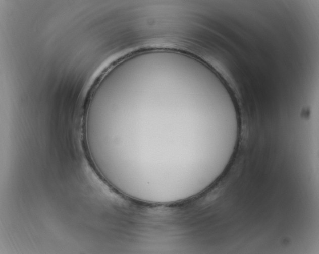 X0000113950992200909250959