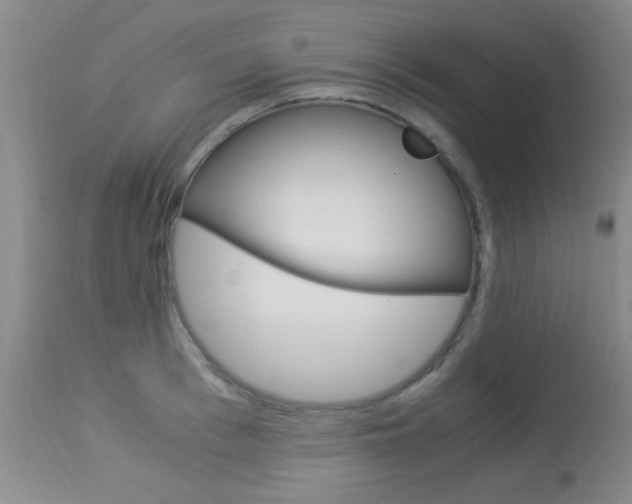 X0000113950993200909250959