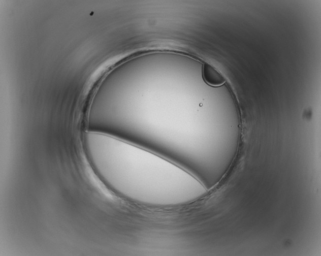 X0000113950995200909250959