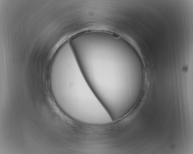 X0000113950997200909250959