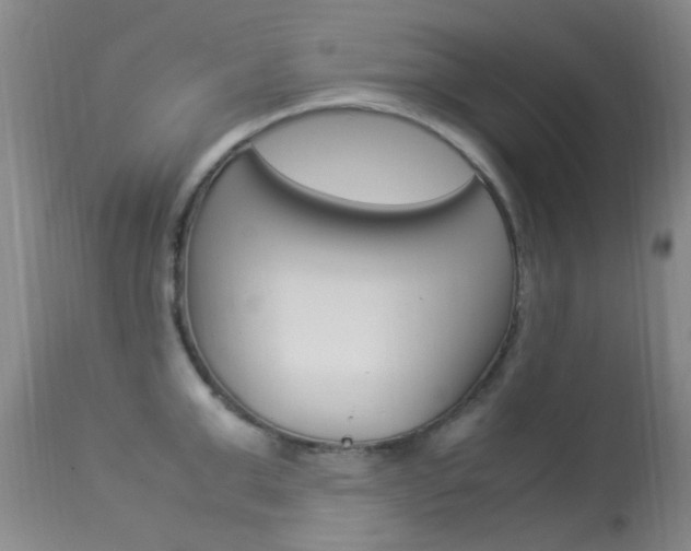 X0000113950999200909250958