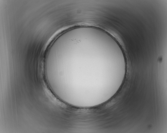 X0000113951000200909250958