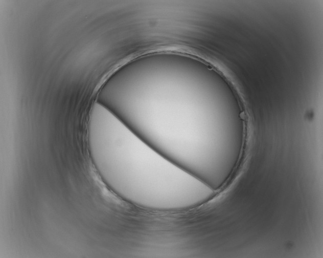 X0000113951001200909250958