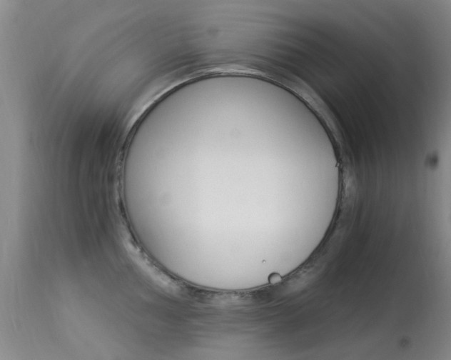 X0000113951002200909250958