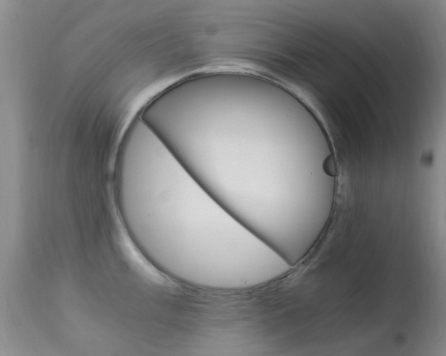 X0000113951003200909250958