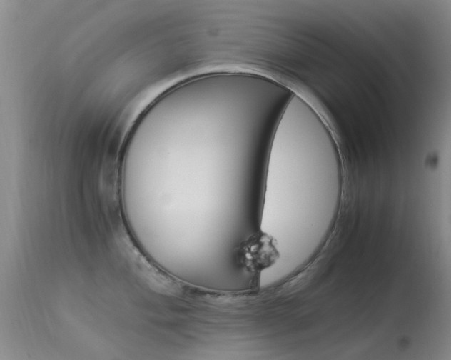X0000113951004200909250958