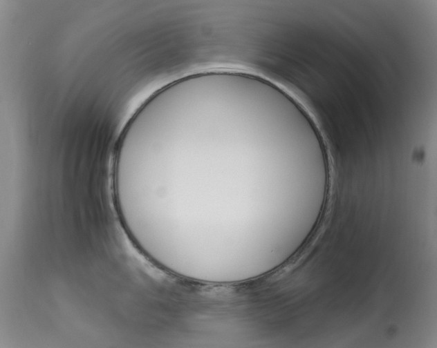 X0000113951006200909250958