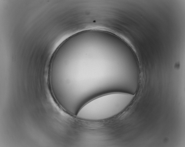 X0000113951007200909250958
