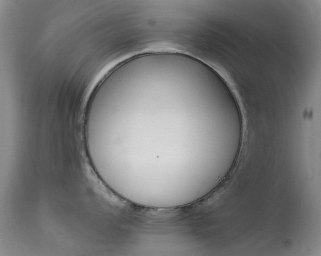 X0000113951008200909250958