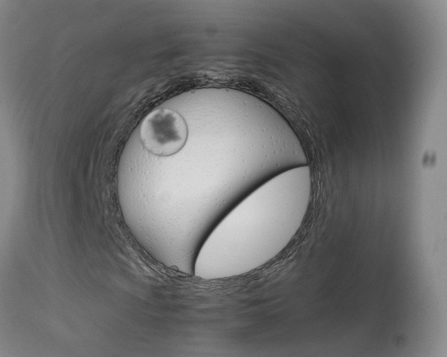 X0000113951009200909250957