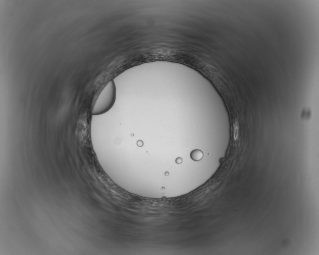X0000113951011200909250957