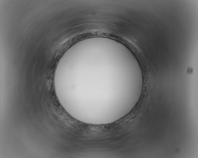 X0000113951015200909250957