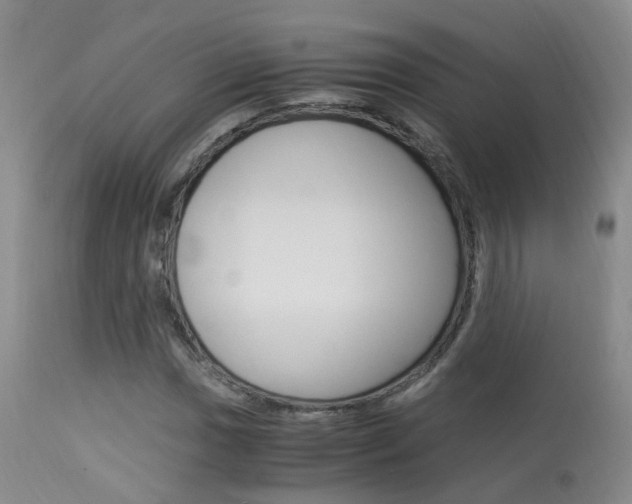 X0000113951017200909250957