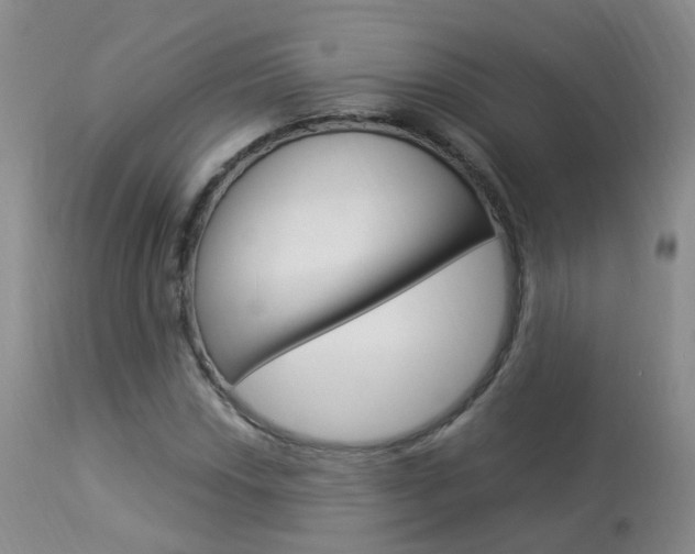 X0000113951018200909250957