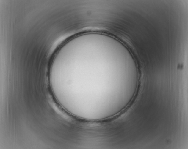 X0000113951030200909250958