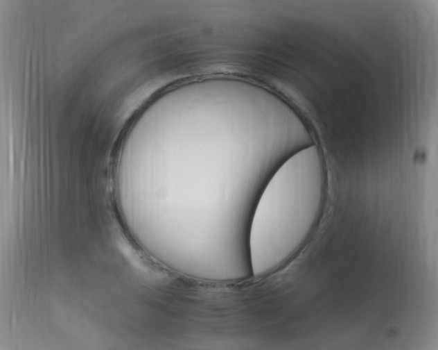 X0000113951031200909250958