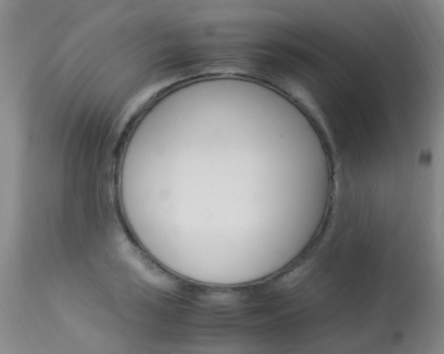 X0000113951035200909250958