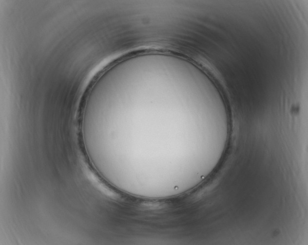 X0000113951037200909250958