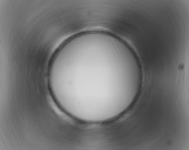X0000113951038200909250958