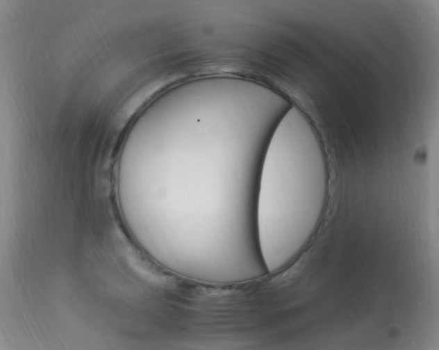 X0000113951039200909250958