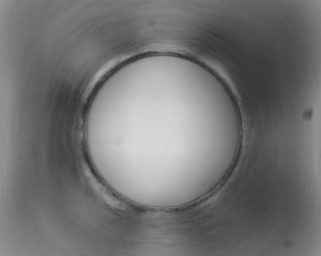 X0000113951040200909250958