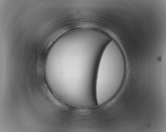 X0000113951041200909250958