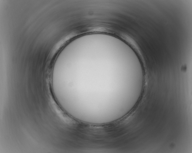 X0000113951043200909250958