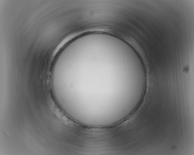 X0000113951044200909250958