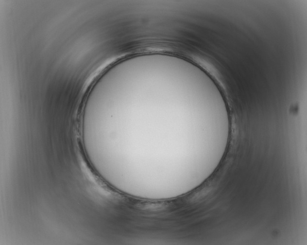X0000113951047200909250958
