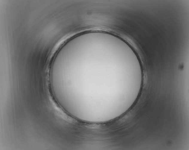 X0000113951048200909250958