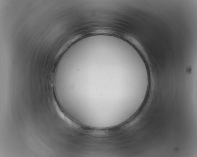 X0000113951049200909250958