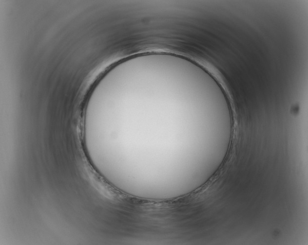 X0000113951051200909250958