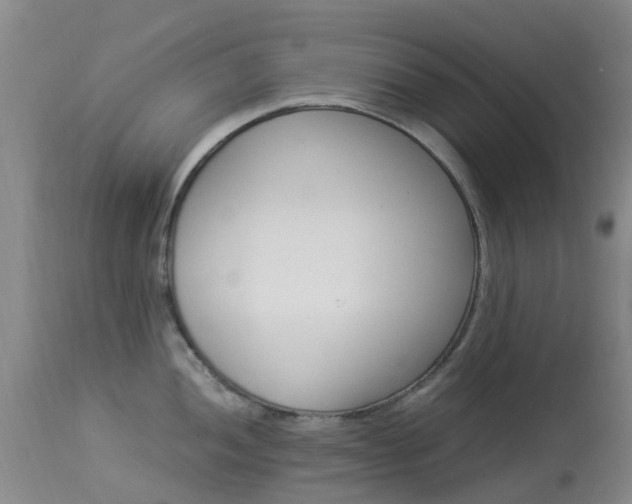 X0000113951052200909250958