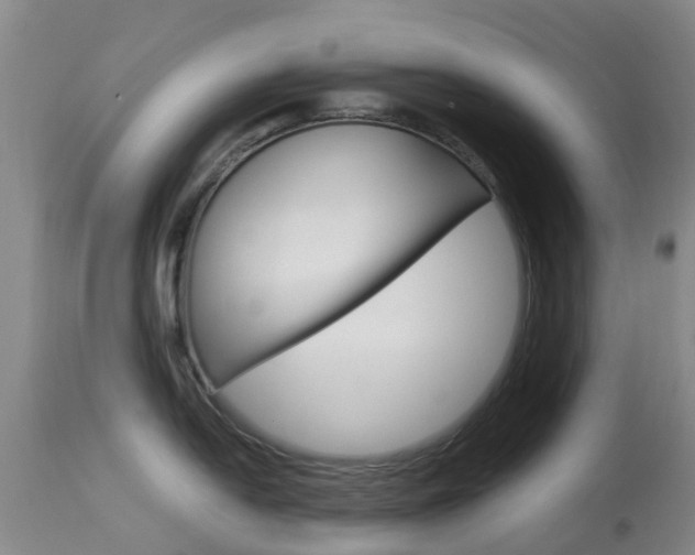 X0000113951054200909250958