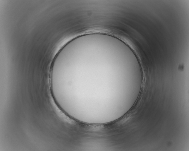 X0000113951055200909250958