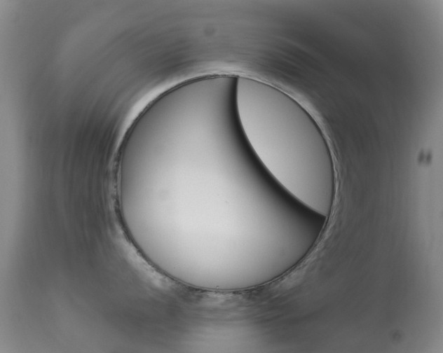 X0000113951056200909250958