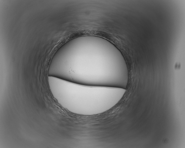 X0000113951057200909250957