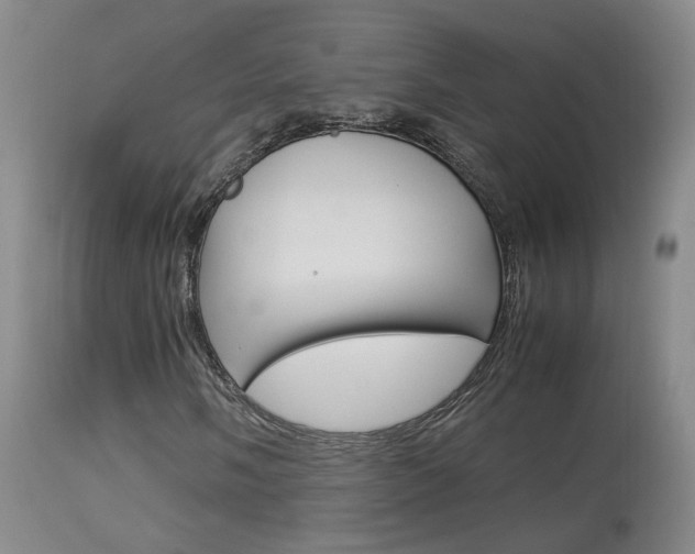 X0000113951058200909250957