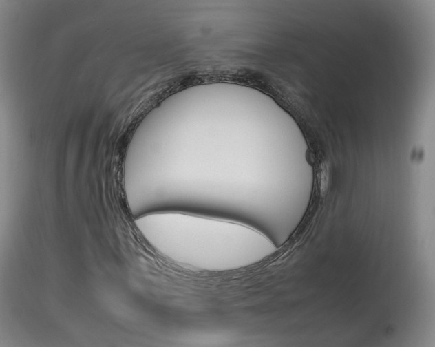 X0000113951059200909250957