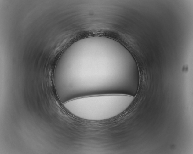 X0000113951060200909250957