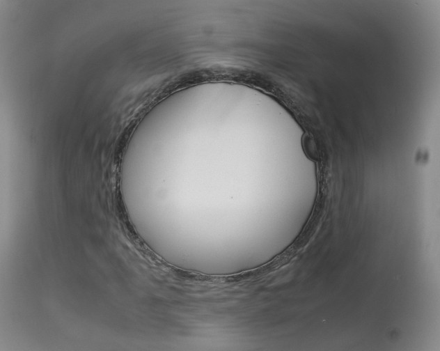 X0000113951061200909250957