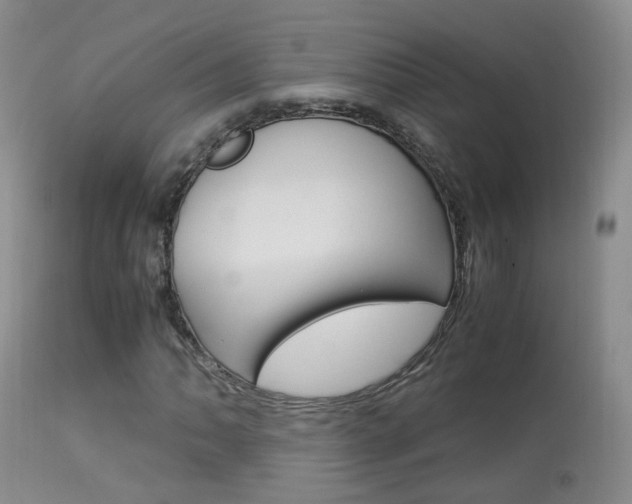 X0000113951062200909250957