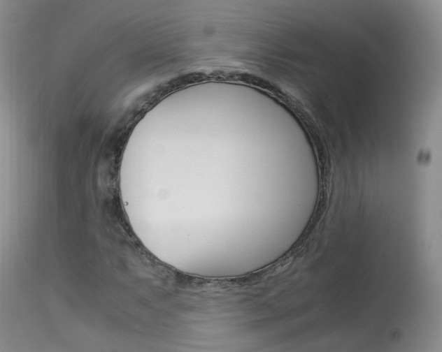 X0000113951063200909250957