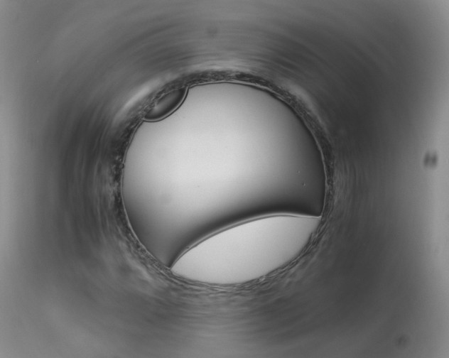 X0000113951064200909250957