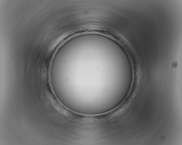 X0000113951065200909250957