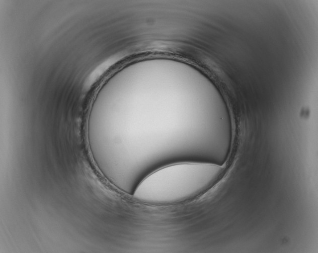 X0000113951066200909250957