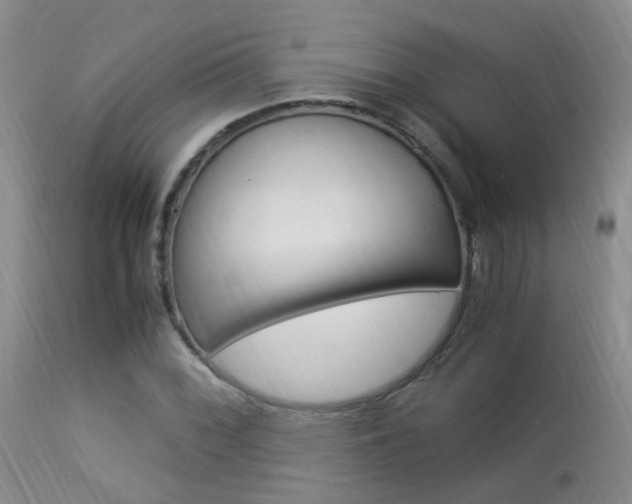 X0000113951068200909250957
