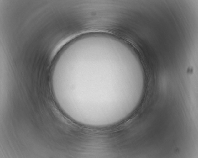 X0000113951069200909250957