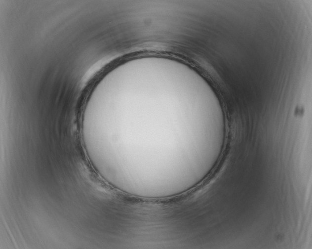 X0000113951070200909250957