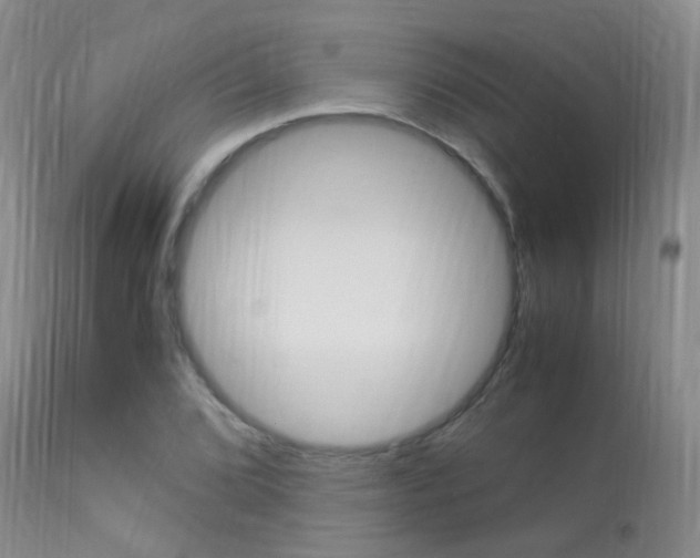 X0000113951072200909250957